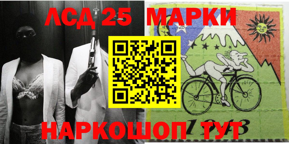 A PVP Лесной
