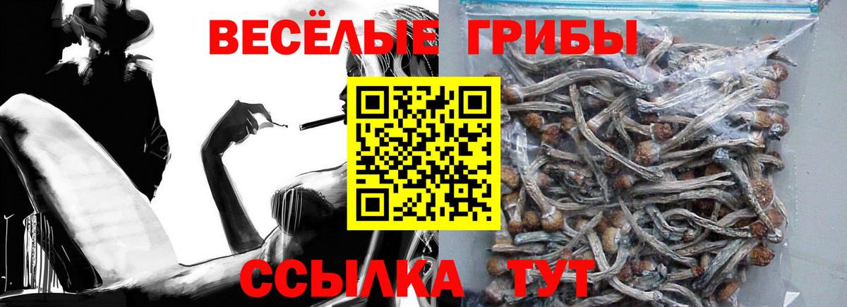 Лесной  хочу наркоту  Вход с VPN  Галлюциногенные грибы ЛСД 