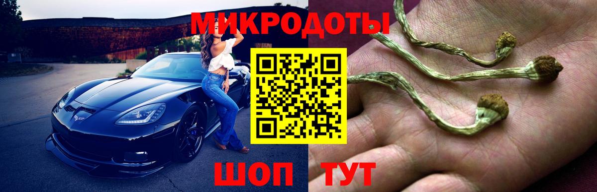 Псилоцибиновые грибы Magic Shrooms Лесной